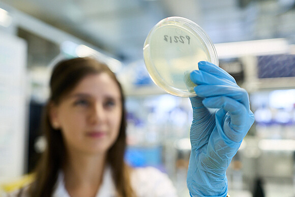 Woman wearing blue disposable gloves and holding a Petri dish