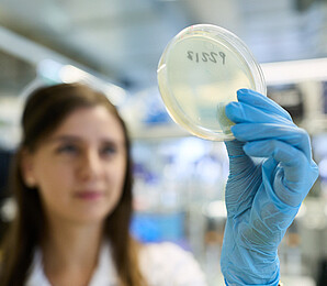 Woman wearing blue disposable gloves and holding a Petri dish