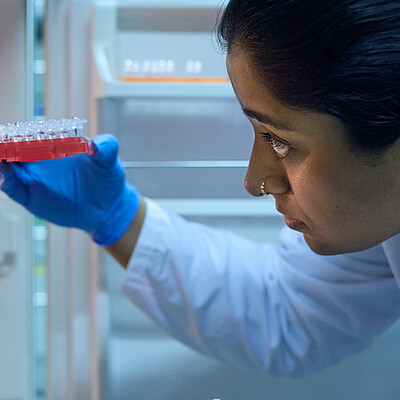 Scientist is working in a Lab