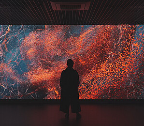 the picture shows a person standing in front of an artwork