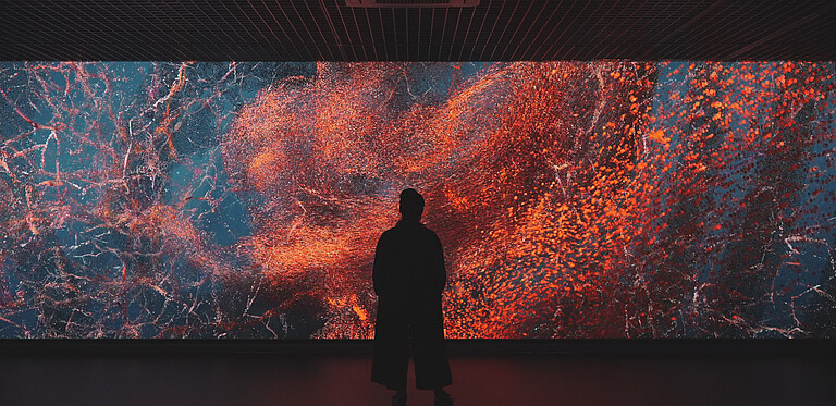 the picture shows a person standing in front of an artwork
