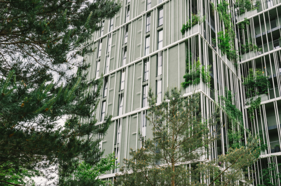 Building with green façade