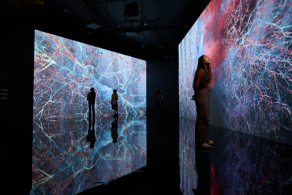 Evolver by Marshmallow Laser Feast, Works of Nature, installation view