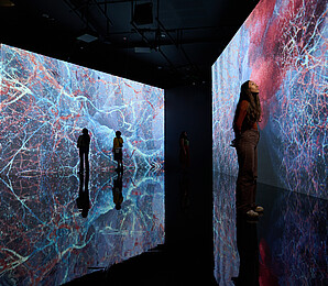 Evolver by Marshmallow Laser Feast, Works of Nature, installation view