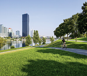View of Danube island