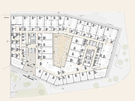 Life Science Center Plan vom ersten Obergeschoss