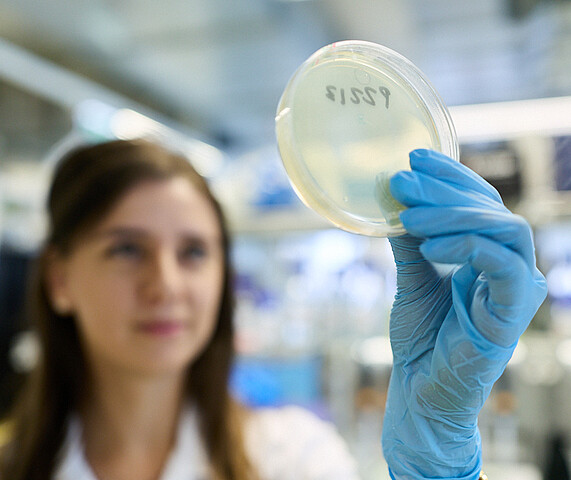 Eine Forscherin überprüft eine Probe in Laborumgebung