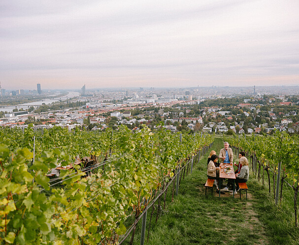 Food Innovation Vienna - Weinbau in der Stadt