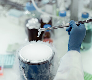 Comet-Zentren betreiben Spitzenforschung für Wien