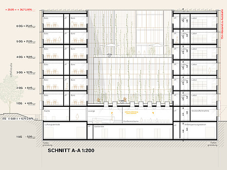 Life Science Center Plan Schnitt A